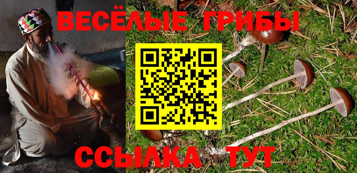 Прокопьевск  Галлюциногенные грибы MAGIC MUSHROOMS  магазин продажи наркотиков  Вход с VPN 